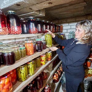 Moon in the 2nd House